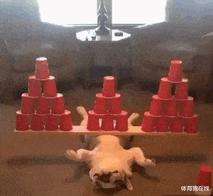 神回复|神回复：为什么不能买个冰柜，把电脑主机放里面散热？