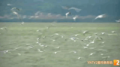 江西|藏不住了，昆明地铁5号线即将开通，沿线美景、美食抢先看~