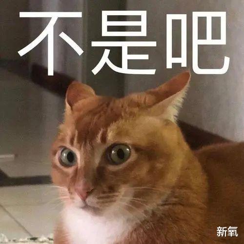 拐卖|头皮发麻！女星去世时隔3个月，她的社交账号又更新了