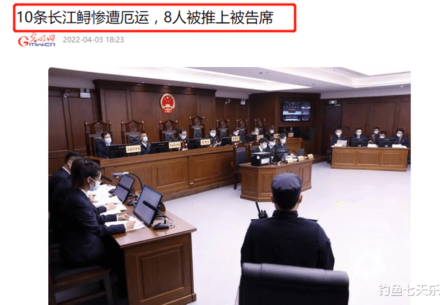 |生态见好！“长江鲟”现身湖南资江，被垂钓者钓获后放生