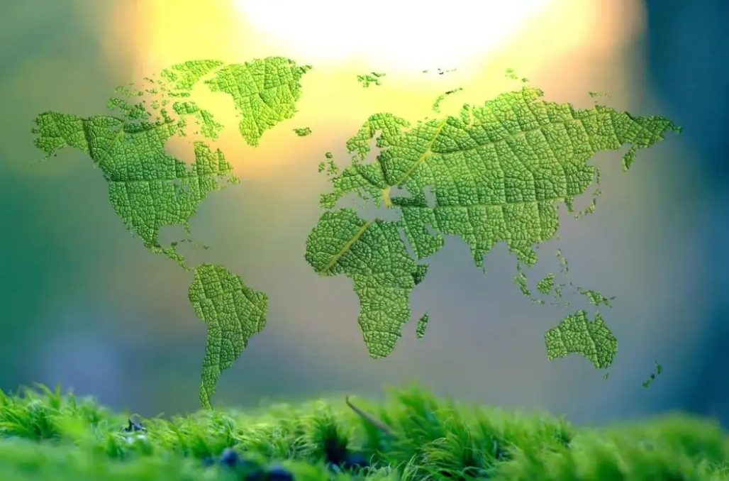 地球的残影空间地球是否有造物主?每一种生命都有它存在的意义