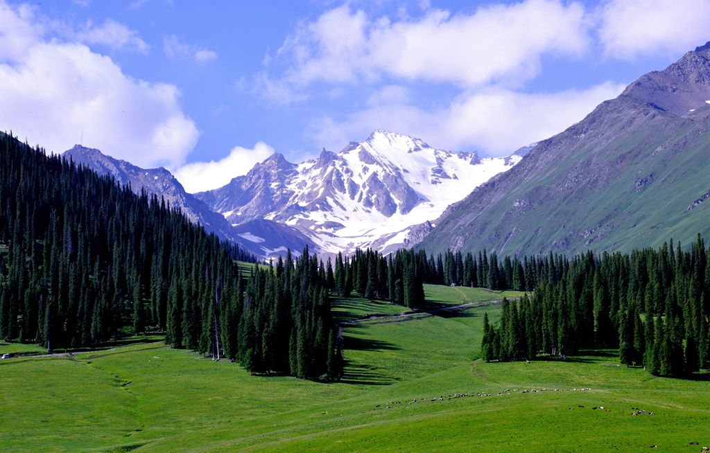草原|不到新疆不知道中国之大，不到伊犁不知道新疆之美