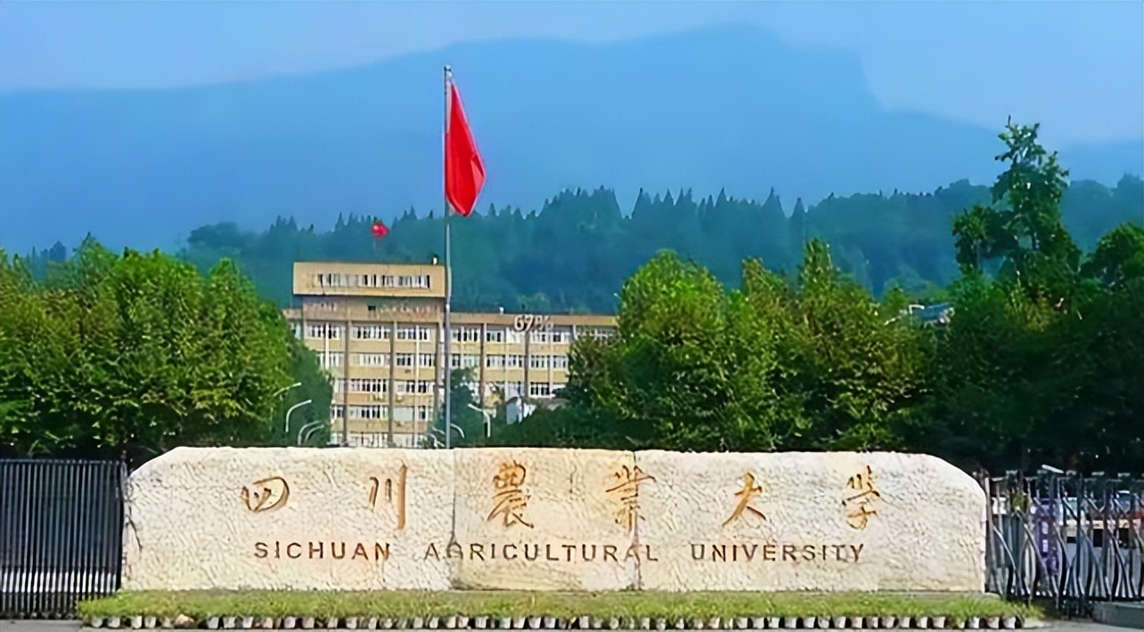 职业年金|一学院女寝室所有人都成功考研，网友们却百般嘲讽：专业太坑