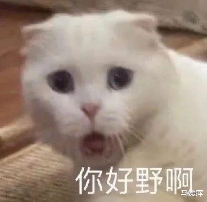 “P站女神”玩偶姐姐被网友爆料赚了上亿元,实现财务自由