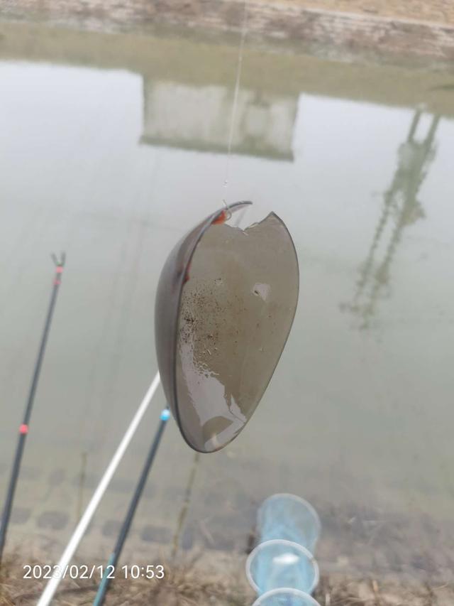 |作钓、考察又做酒米，钓鱼人的生活乐趣多多。