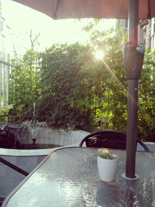 买一楼会被笑?!开发商直接赠送50平大院子,糙汉子在里面种满花