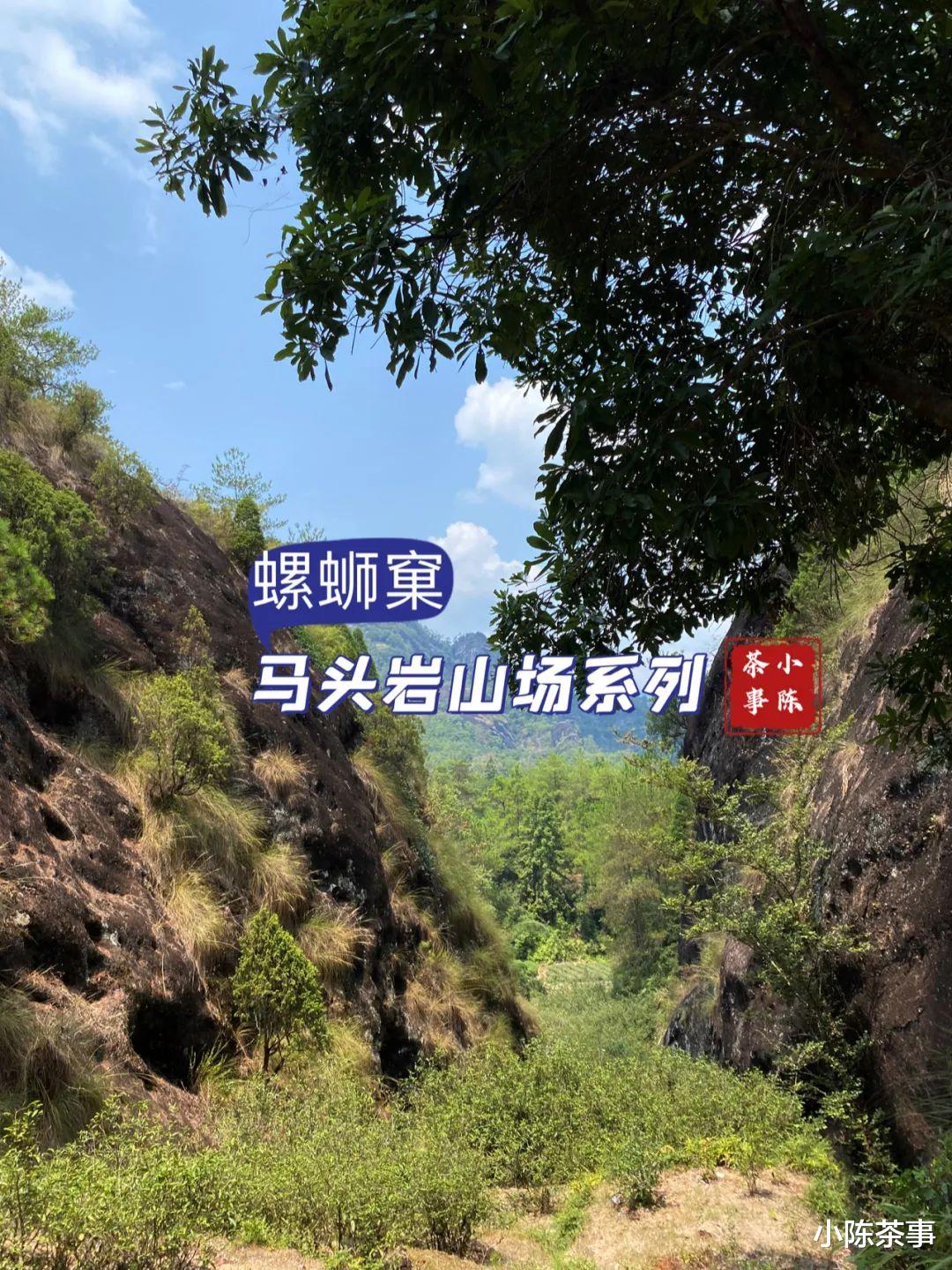 邮轮|开山坪、猫儿石、桃树窠，马头岩的山场究竟有哪几个？这是个谜团
