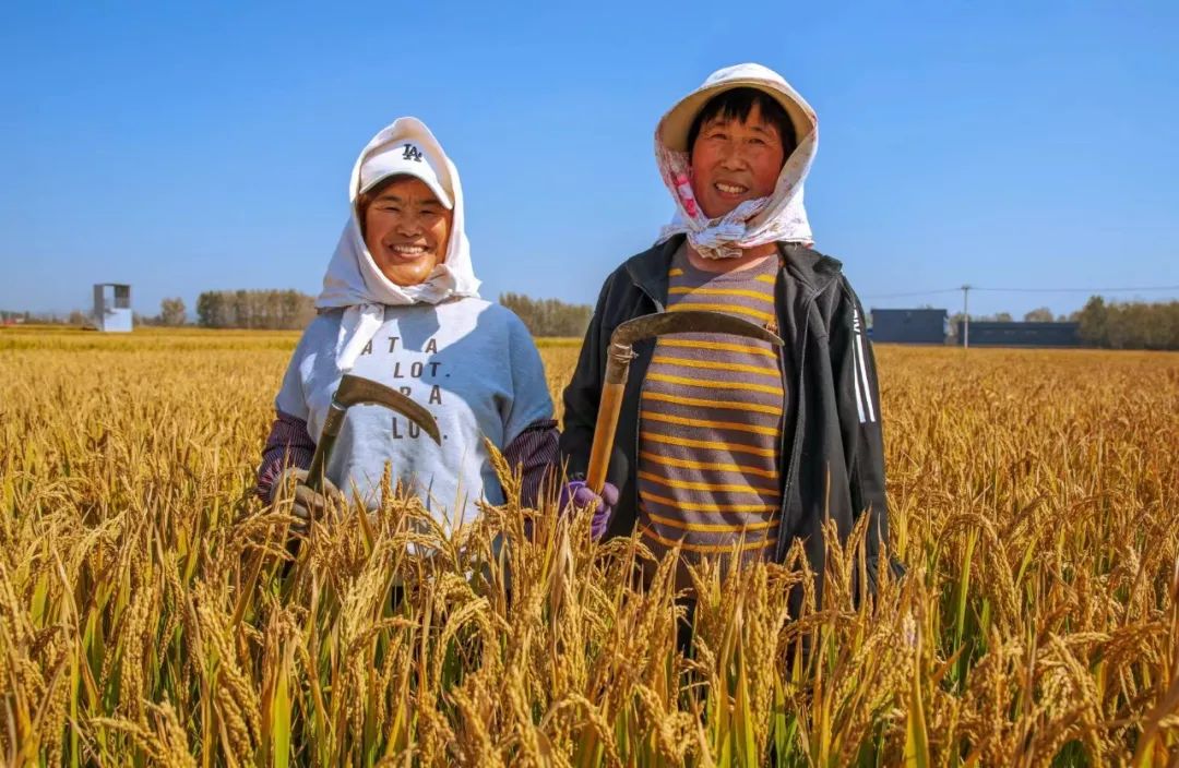 日照|相遇浓墨重彩的日照深秋！