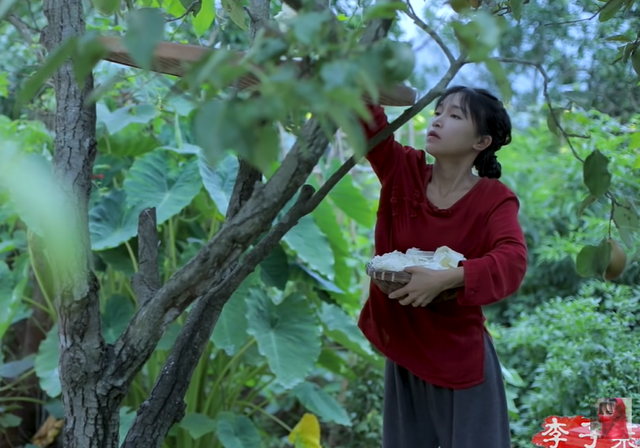 李子柒|李子柒与公司和解！知情人不看好她重获流量，运营僵局伤害了双方！