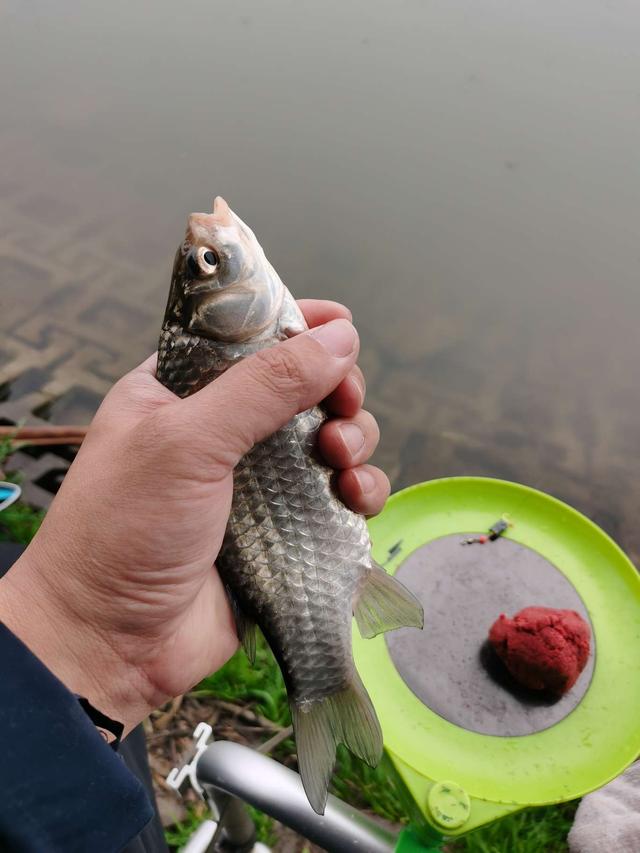 |万物萌动春已至，垂钓正当时！