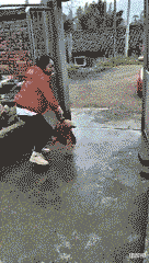 空军|“钓鱼的时候飞到我手上的，第一次见，有知道这是什么的吗？”