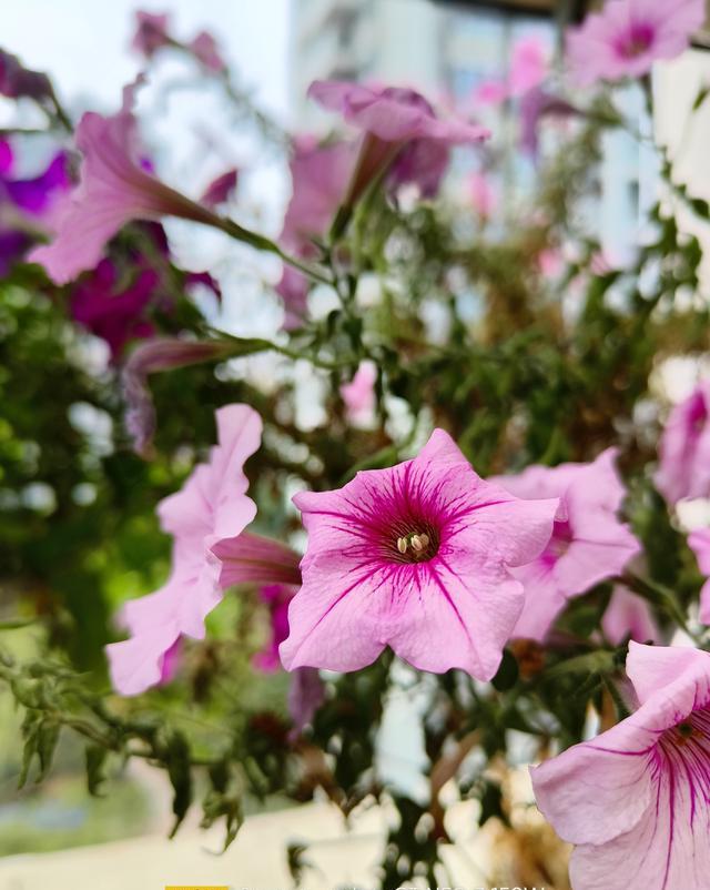 realme|realmeGT宇宙上新:真我GTNeo3太有诚意了,配置有点顶!