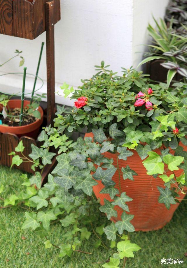 杭州50岁独居大叔的美式雅居，200㎡空间诠释温馨，一个人也不孤单