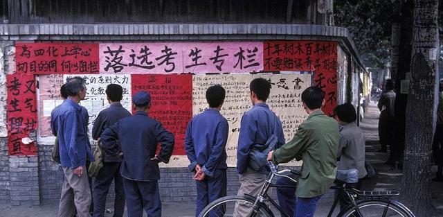 职业教育|博士因学历求职被拒绝，公司为何更看重第一学历，到底有多重要？