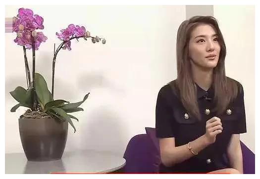 林峰|甩30亿身价的林峯，攀百亿太子爷施伯雄，吴千语的豪横你不懂