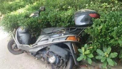 广东省清远市，林某驾驶无牌摩托车被交警发现，为躲避检查，逆行撞上绿化带死亡