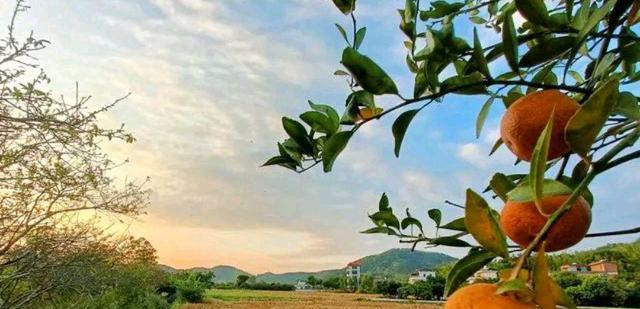 58岁大妈坦言:搭伙半年后,他承诺给我30万,我分分钟想逃离