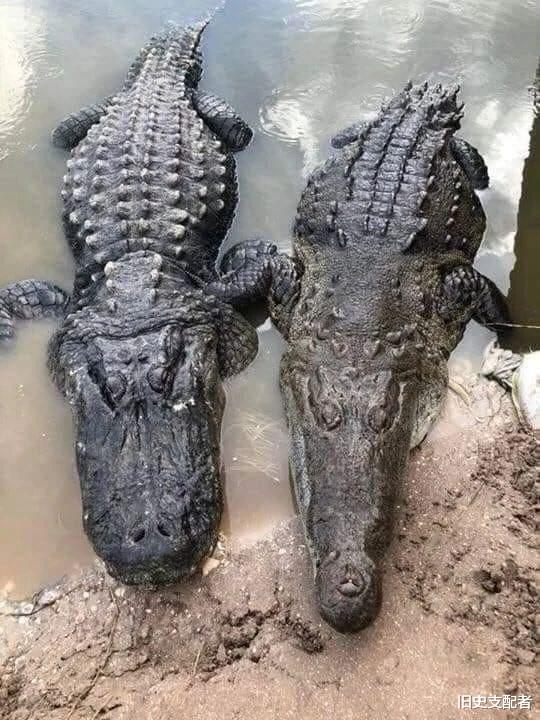 运动 25张震撼的对比照，每一张都让人大开眼界