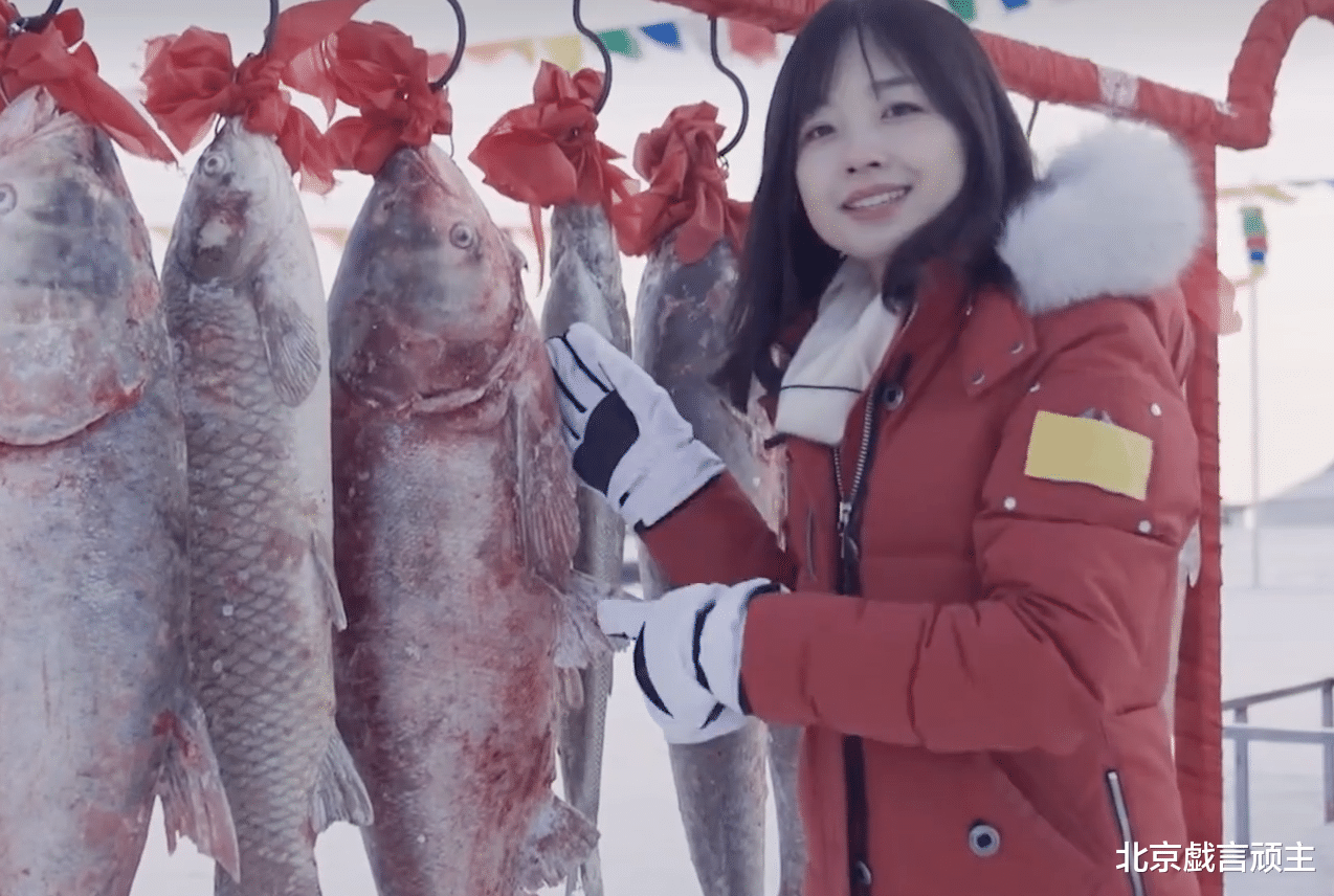 主持人|央媒门面担当,冰冰重新复出,人气依旧不减,凭实力打脸群营销号