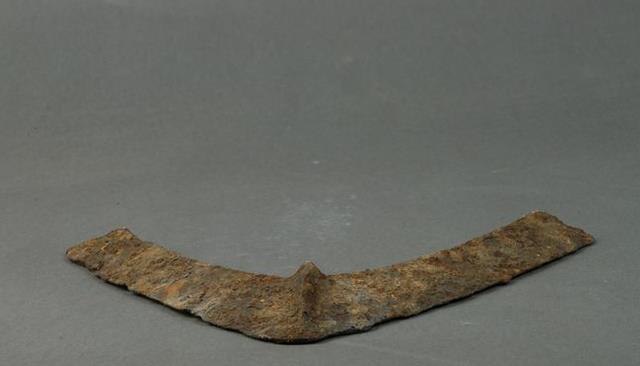 25万年前铁器现身,史前文明真实存在?达尔文进化论真要被推翻?