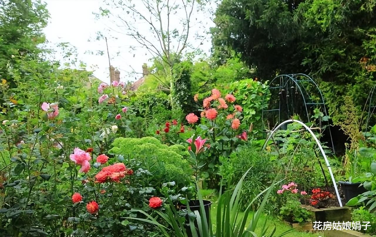 撂荒的1000㎡院子重建，一半养花，一半种菜，享受宁静的田园生活