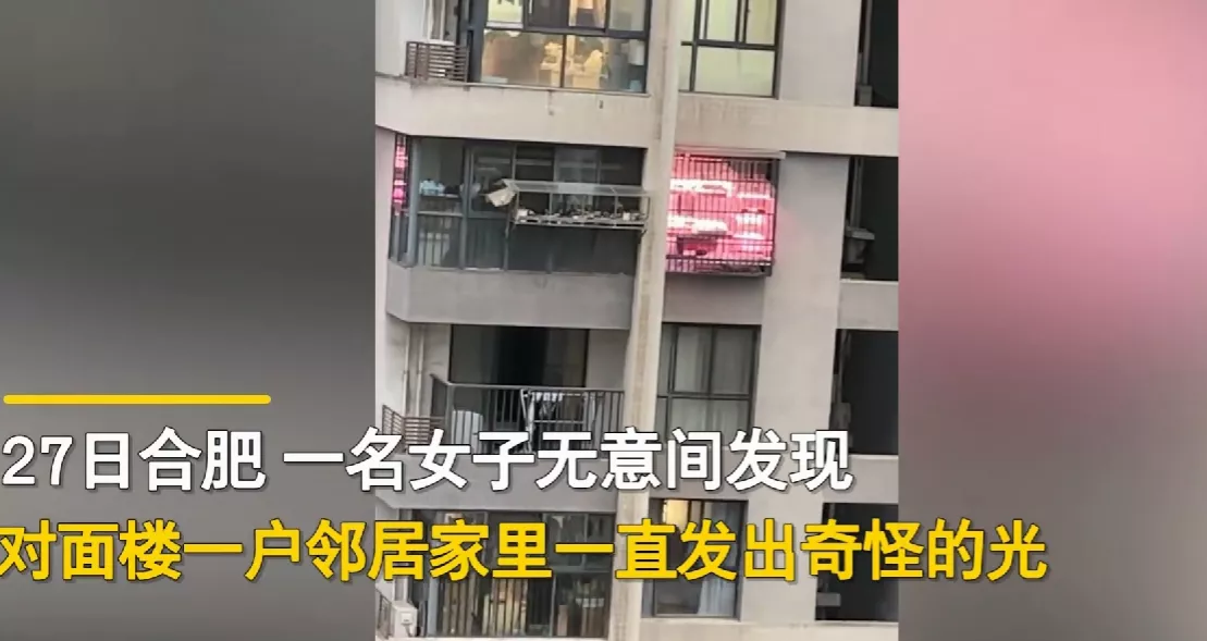 近日,安徽合肥,发生了一件趣事