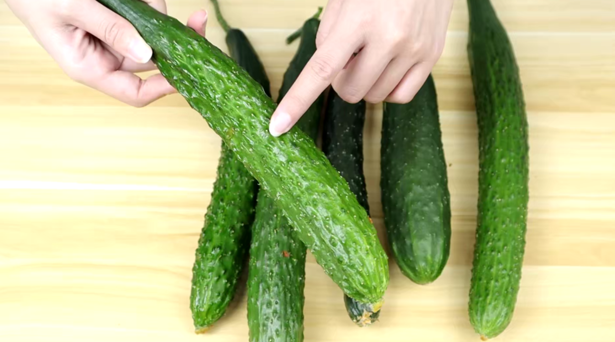 激素黄瓜怎么辨别?老菜农:只需看准这5点,以后别再买错了