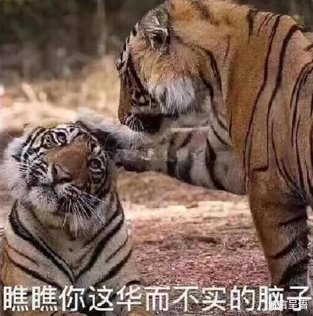 快手视频|当年为了面子，选了985末流专业，如今找工作，开始后悔了