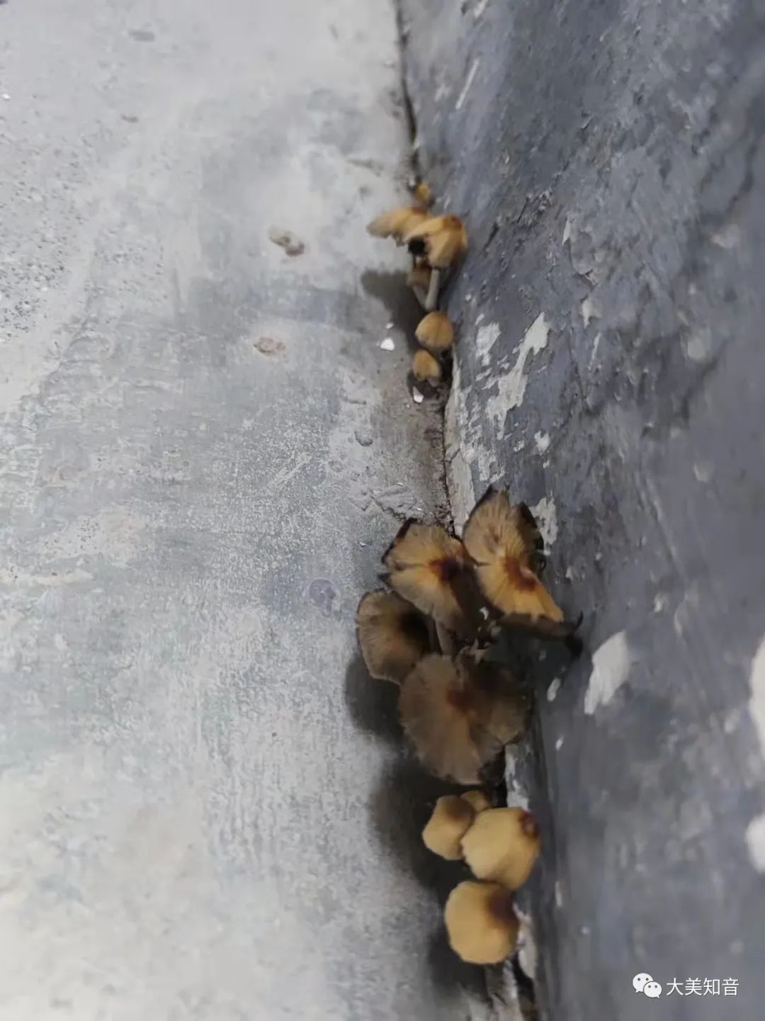 中建壹品澜庭的投诉