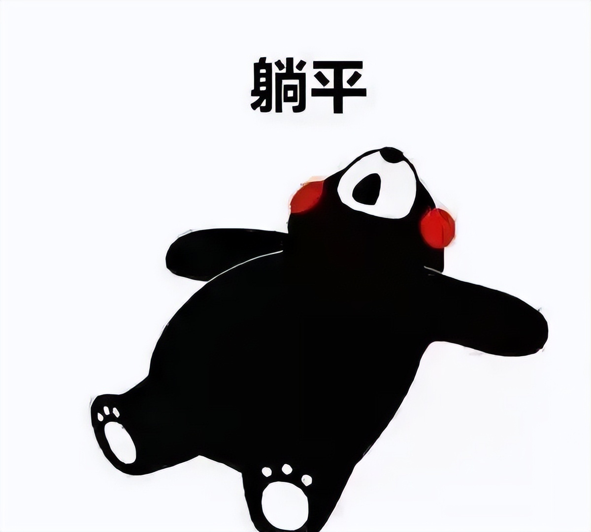 高职|为什么要上大学?3+证书高职高考上岸大学生这样说