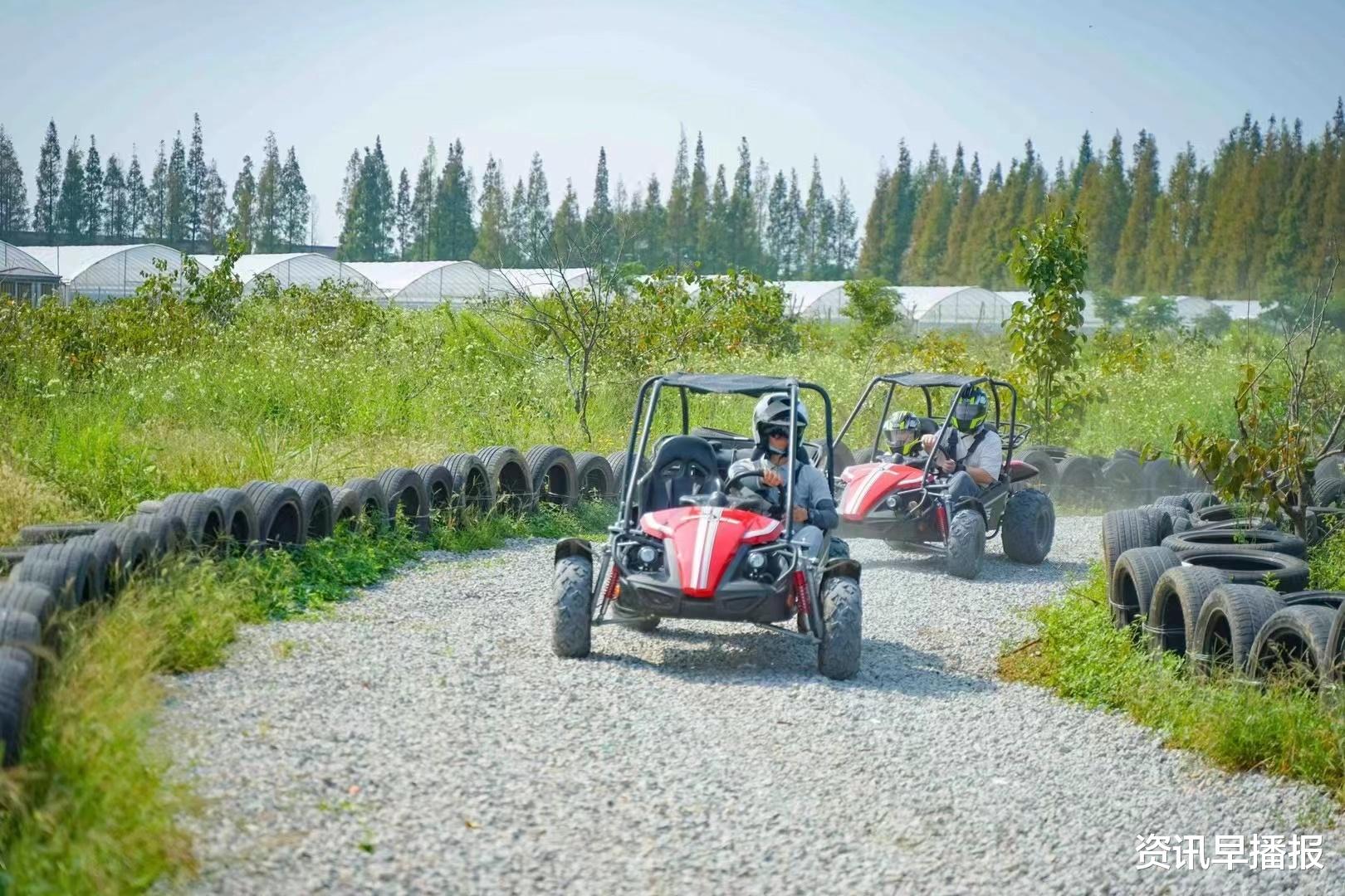 昆山|江苏昆山淀山湖:秋影如诗 秋色如画