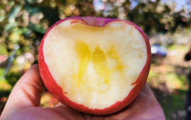 脑神经|一天一苹果，医生远离我？忠告：吃对才靠谱！这4类人尽量慎吃