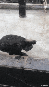 退休 北大退休的91岁老教授收入引争议:1个月工资我用1年都用不掉