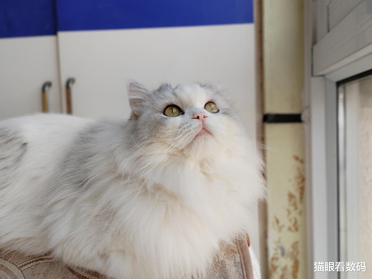 华为鸿蒙系统|千元价位也能买到安全长续航的鸿蒙手机?华为畅享50系列上手体验