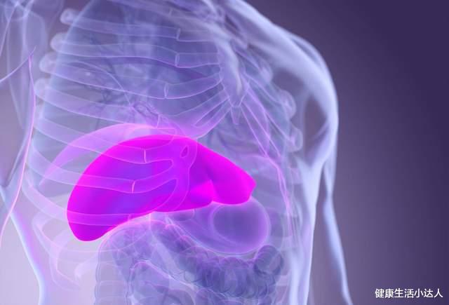 肝脏|肝脏好不好看得见,多看看这4个地方,肝脏好坏,一目了然