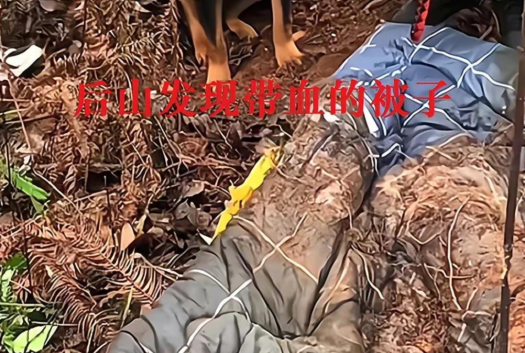 学校地下室和后山棉被是突破口?胡鑫宇失踪越发明朗,期待好结果