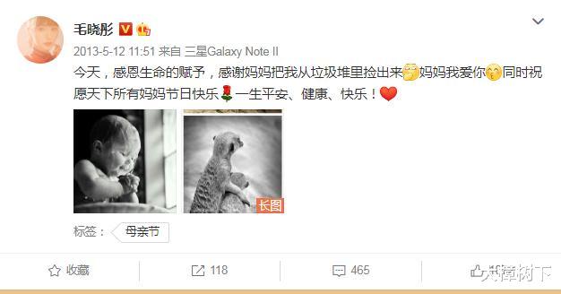 毛晓彤|毛晓彤的三十而立：撞见男友出轨，出生被遗弃，被生父敲诈5000万