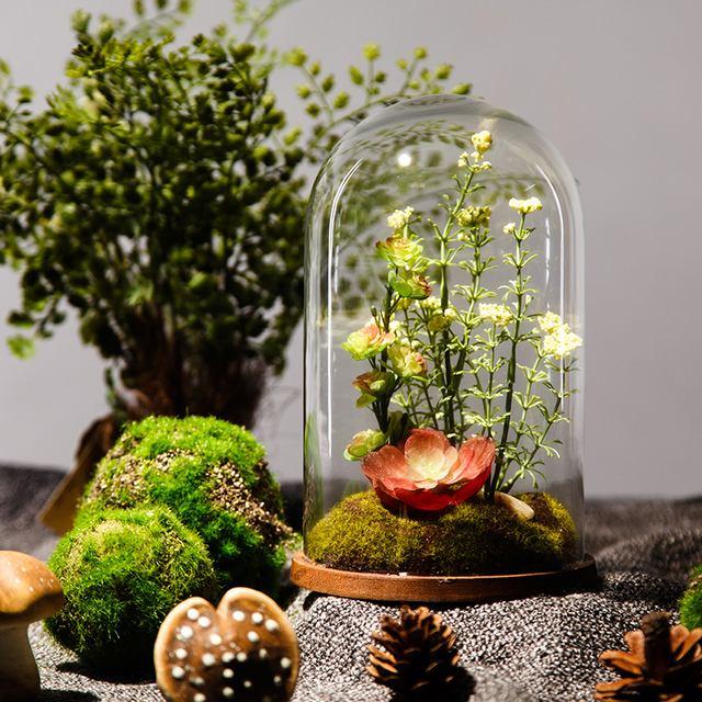 办公室|在家里或办公室自己打造个微景观有不一样的意境