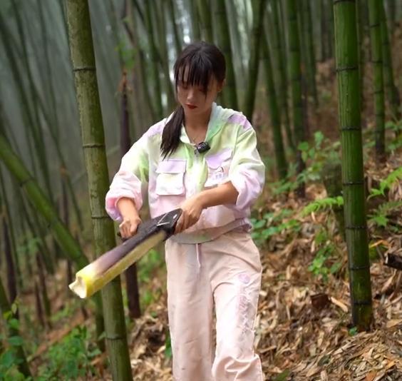 黑粉|网红严素砍竹笋引质疑，置顶评论显卑微，网友：多此一举