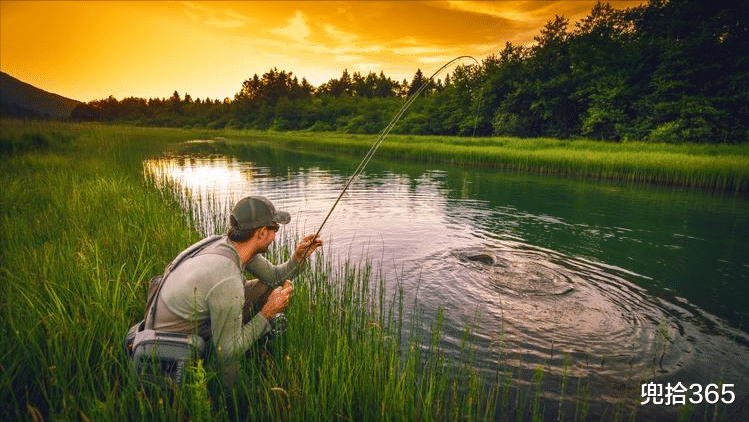 |钓鱼不成反被调戏，男子气得差点下水搏斗，网友：快收拾东西回家