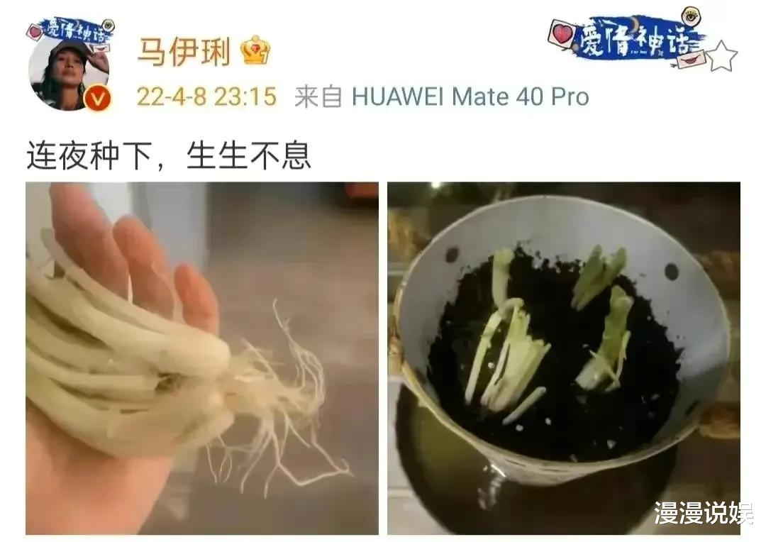 贝克汉姆|汪小菲实体店每月亏损200万，众明星出现断粮，纷纷种菜自给自足