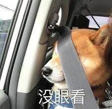 地狱航班体验:后排乘客随地小便,奇葩情侣喝酒抽烟