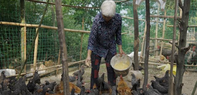 便利店|互联网公益十五年：从QQ大地震筹款到延安的苹果树