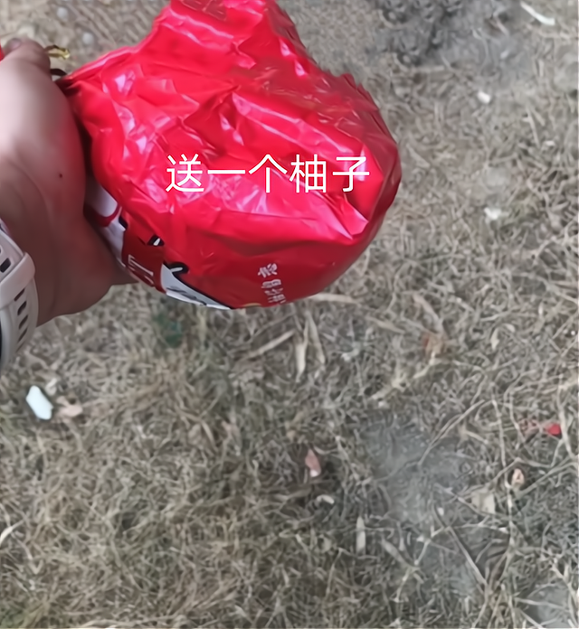 女子被男友劈腿后流浪,露宿街边惹人怜,路人心疼:想把她带回家