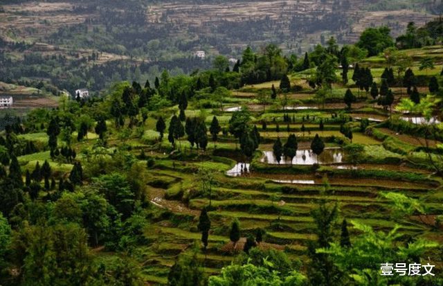 招聘|一名普通县级公务员的一天：这是什么神仙日子