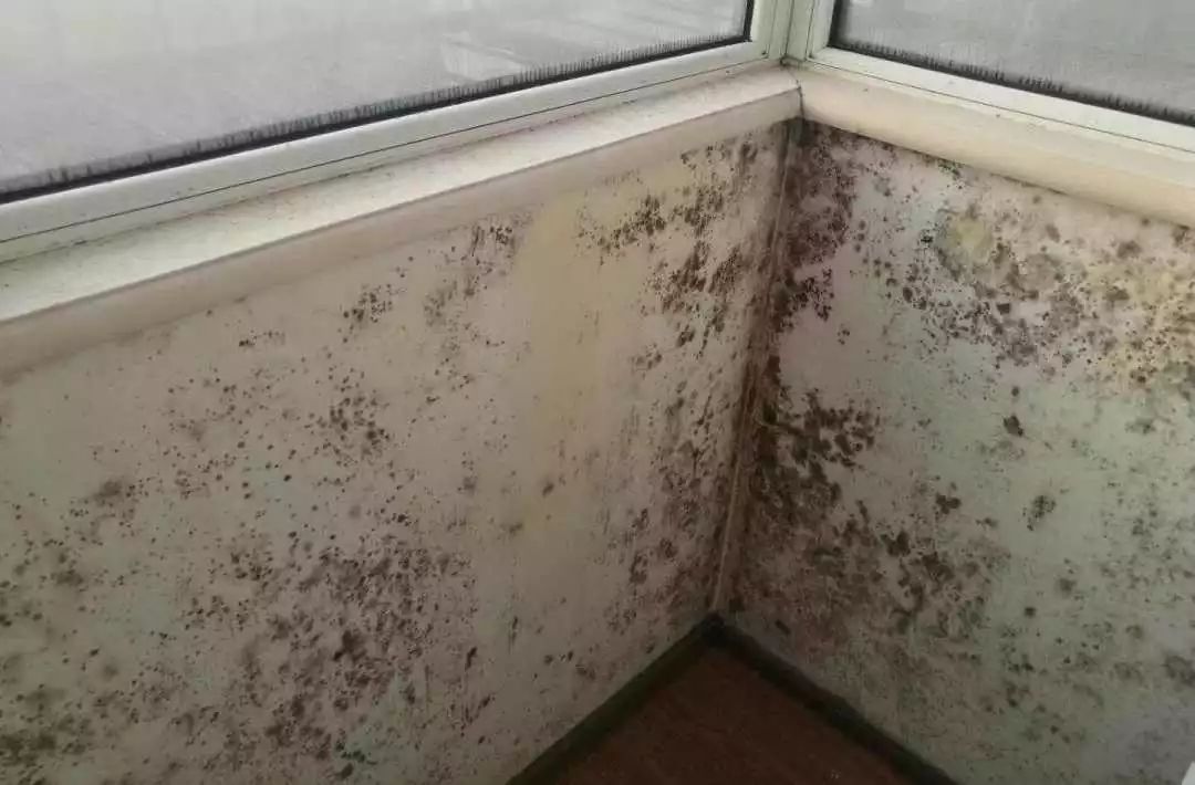 有宅乡墅 | 自建房问题不断?别再用落后的建房工艺了