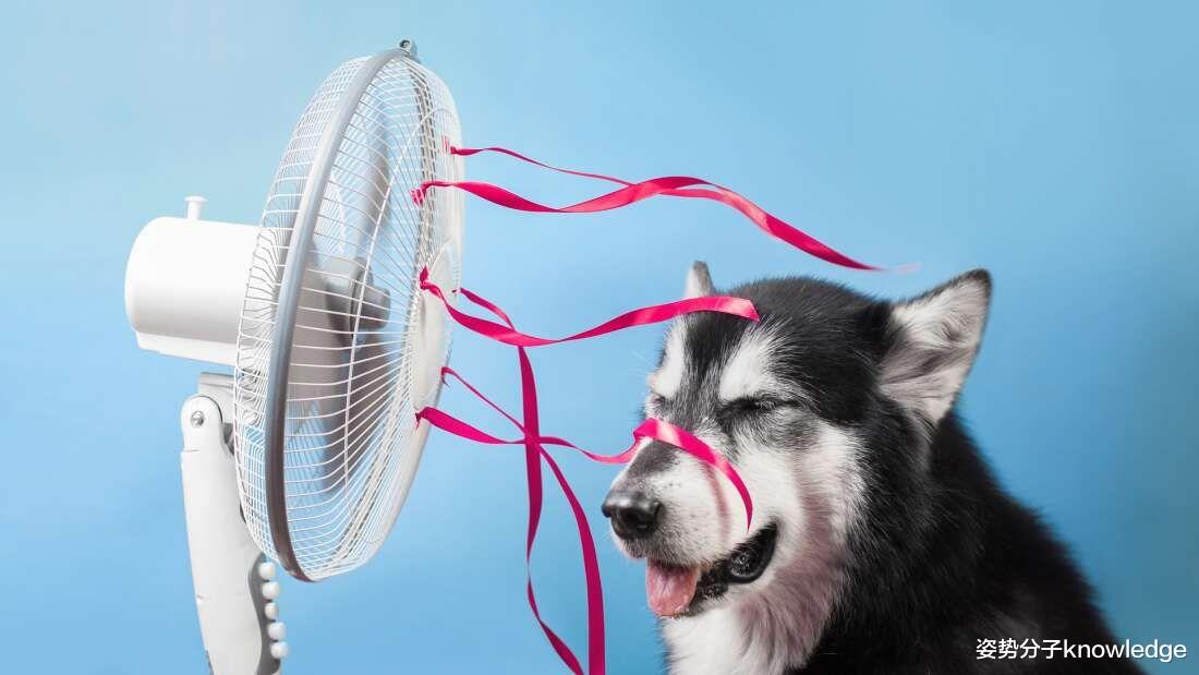 空调|电风扇或能“拯救世界”！空调对气候恶化要负担多大的责任？