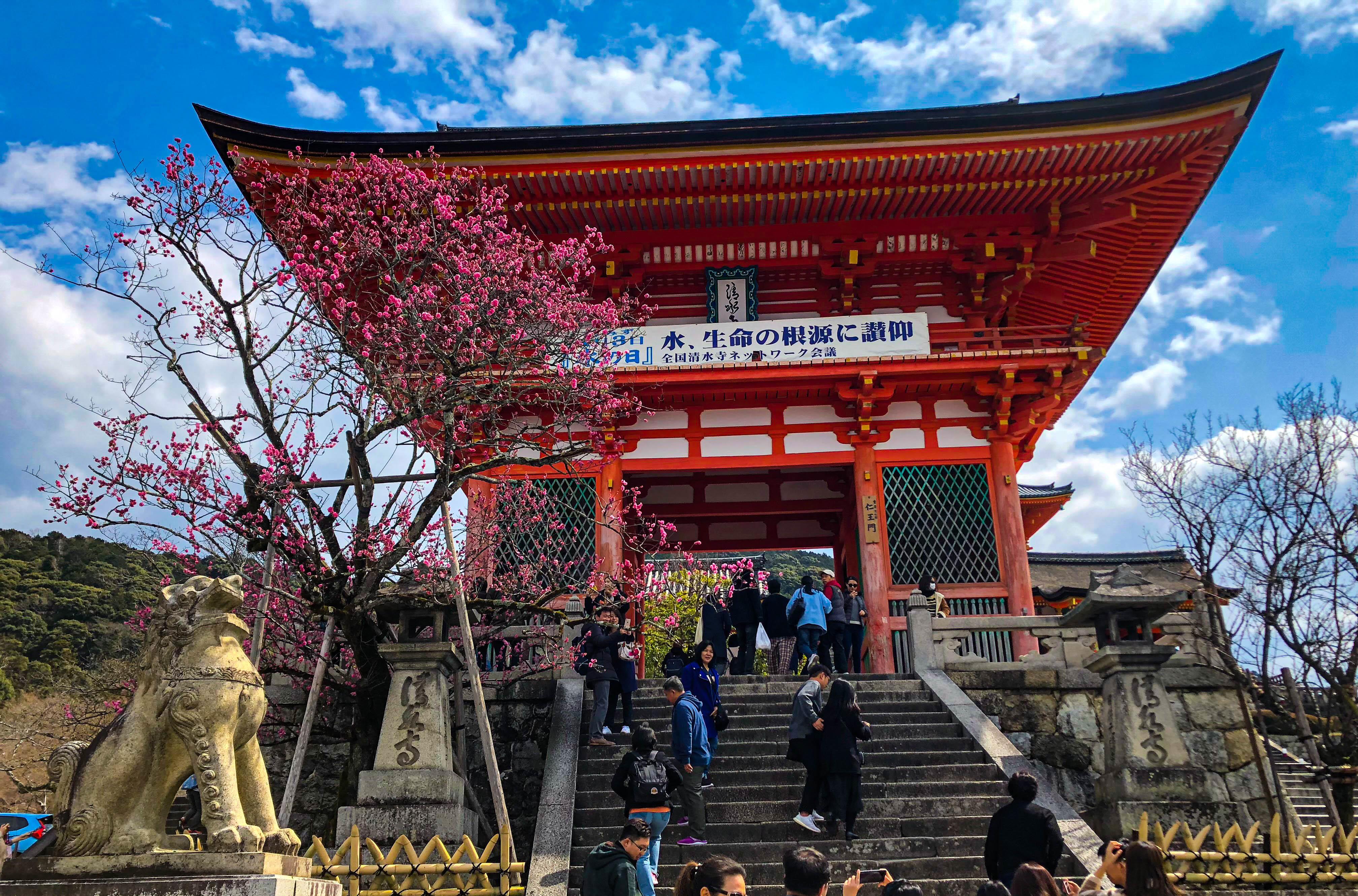 京都大学|京都超省钱旅游攻略，带你玩转日本版“小长安”，品味大唐遗风