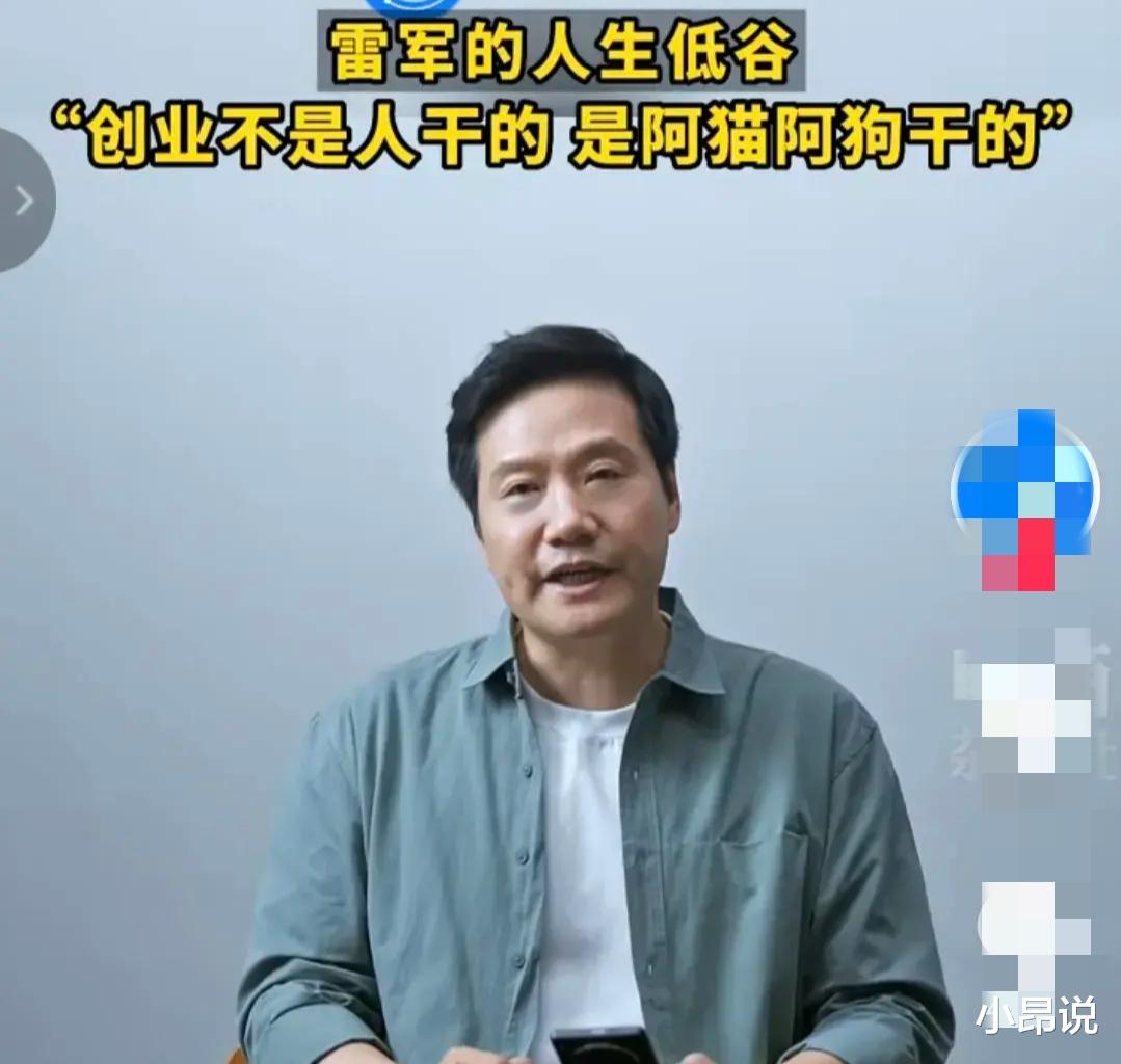 数据可视化|雷军:创业真的不是人干的事,太煎熬了,是阿猫阿狗干的事