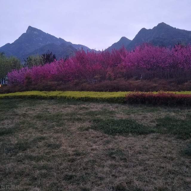 三亚|郭进拴|探访终南山